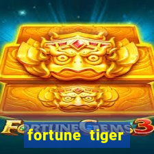 fortune tiger plataforma nova